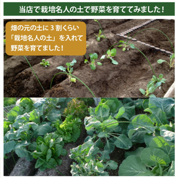 楽天市場 栽培名人の土 25l 2袋セット 自然応用科学 培養土 バラ 野菜 まとめ買い セット 花 植え替え 植え付け マルチ 土 家庭菜園 花壇 園芸用土 元肥 このまま使える 鉢植え ハンギング 夏野菜 冬野菜 安全 安心 国産 善玉微生物 メーカー直送 万能 送料無料 ソラニワ
