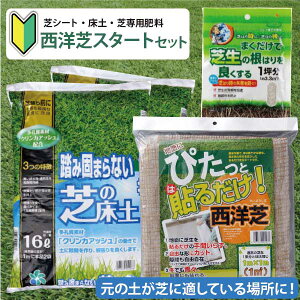 ͂߂Ă̎ŐV[g X^[^[3_Zbg \邾I ŐV[g 1ĂƏy2+܂ŎŐ̍͂ǂ1ؕIWigp}jAt@mŁ@VR mZ^[