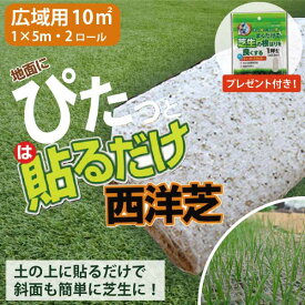 安く天然芝にしたいなら！貼るだけ！ 芝生シート 5m×2ロール 天然芝 西洋芝 10平方m分 芝生 ケンタッキーブルーグラス　トールフェスク、ペレニアルライグラス 広域 公園 ［センター］（000199・000199-1・000216_bX3)　ぴたっと貼るだけ！西洋芝シート