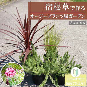 hōI[W[vcK[f mAn1[ĝ YҒ@15cm|bg 3i 4Zbg OhJo[  N S @[eiX@hCK[f@