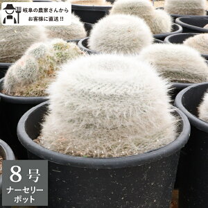 ʉ@^}ILi@T{e 8@1@Vzj ^@CeA@@zj@A@ _꒼mGnlC@@I@bNK[f@hCK[f@}~