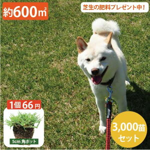 ʃZbgIy600[gp3000Zbgz1|bg66~IAAAybg̕AɋIm eBtg419 ŕc (5cmp|bg) hbO gn^ X|[cŁ@Lv 