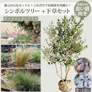 V{c[Əh̃Zbg mI[i^OXnA؁EE΂̃Zbg ŐA悤I[eiX ֑O@O\@GNXeAmGMnmtn