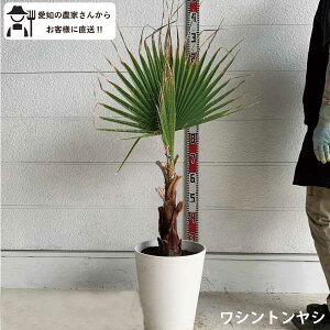 mYҒnVgV@1m@@؁@c؁@V{c[@ A@lC@ @썑@bNK[fmtn|bg