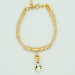 u`̃uXbgLeByrIWG[zuWANZT[Buriti