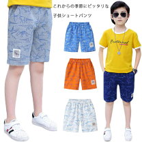 楽天市場】恐竜 ハーフパンツの通販