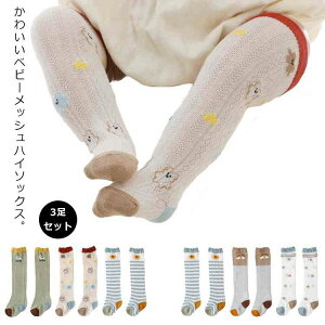 \bNX q\bNX C xr[\bNX 3Zbg nC\bNX LbY Ԃ ̎q j̎q bV\bNX  ʋC Rbg  Vv L[g  ܂ 