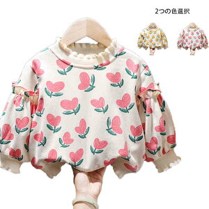 uEX LbY tH ۋ g[i[ tuEX g[i[ JWAuEX ԕ vI[o[ gbvX 킢 xr[EGA Vv JWA WjA ̎q 