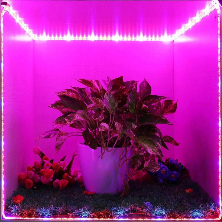 414円 注目のブランド 植物育成ライト Led植物用 Ledテープライト 植物成長
