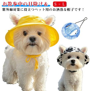  Lbv p ybgp ^  ăoe  MǑ΍  ˕a 悯  hbOnbg 킢 Εt ^ Xq L ˂  v[g a 蕨 