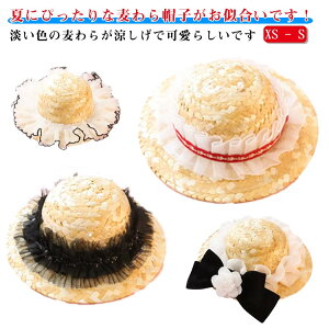 Lbv Xq ̖Xq  nbg tďH ăoeh~ ybg   Lbv ybg L ZbgAbv  悯 O ^ ^