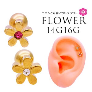 {fBsAX sAX [14G 16G ]ʂRƉ  0201