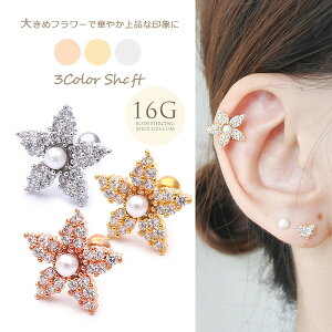 軟骨 ピアス 大きめの人気商品 通販 価格比較 価格 Com 軟骨 ピアス 大きめの人気商品 通販 価格比較 価格 Com