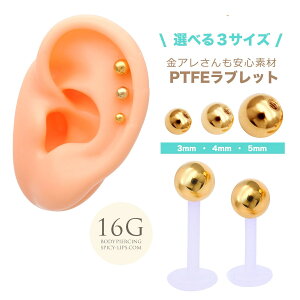 {fBsAX sAX gKX ubg [16G ]AM[ Ή Vv S[h{[0055 SS