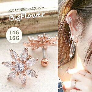 {fBsAX sAX m14G 16G nSPICYLIPS IWi 1_ ŏ[  BIG L[rbNt[ B炵 i Ȉ sNS[h  flower wbNX [sNS[h ]1001 {