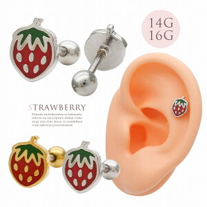 {fBsAX sAX m14G 16G nt[c DȐlɃIXXIł킢  C`S  `[t Xg[g wbNX 0186 {fB[sAX