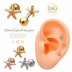 {fBsAX sAXm16G nl}X^CĂ т X^[tBbV `[t Xg[g wbNX 0366 {fB[sAX