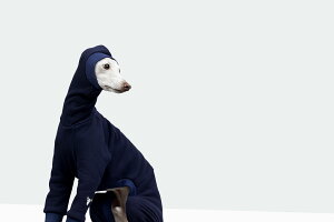 yvemvem FFzX[c tFCXFXs[hX[c lCr[ TCY S/M/L/XL/XX C^AO[nEhEEBybgp COAi C^O  yybgzyEFAzy݌Ɍ