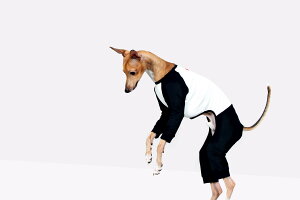 yvemvem FFzTVc oGFXq[g OTVc ubN TCY S/M/L/XL/XXL C^AO[nEhEEBybgp COAi C^O  yybgzyEF