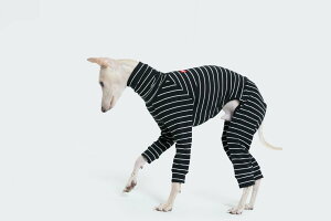 yvemvem FFzI[C~p oGFXq[gXgCv ubNTCY S/M/L/XL/XX C^AO[nEhEEBybgp COAi C^O  yybgz