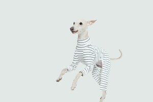 yvemvem FFzI[C~p oGFXq[gXgCv zCg TCY S/M/L/XL/XX C^AO[nEhEEBybgp COAi C^O  yybgz