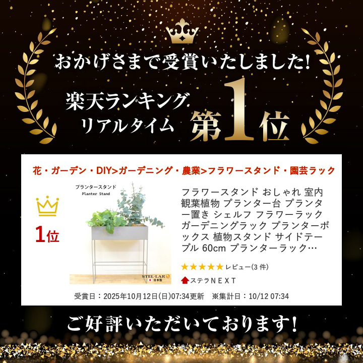 アントステラ　プランター 楽天市場】フラワースタンド おしゃれ 室内 観葉植物 プランター