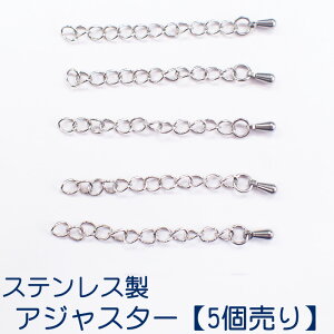 AWX^[ XeXy5z50mm Vo[ y_g p[c `F[  AM[t[ AM[Ή f ߋ ߋ  Ghp[c lbNX u