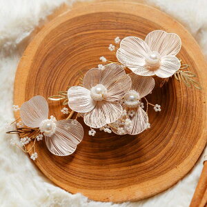 yؕX^Cz̖؃S[hwAs i Vv l̏ GKg Ȃ NVbN S[h FREE