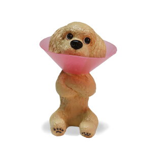 yDENSCRAFTz Dog@CUBE uGJvv[h  tBMA u CeA ObY GUxXJ[ v[g Mtg  킢