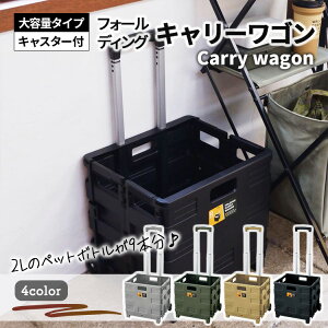 J AEghA tH[fBOL[S L[J[g Rei y ܂肽 ܂肽݃J[g LX^[t VbsO J[g AEghA LFS-35