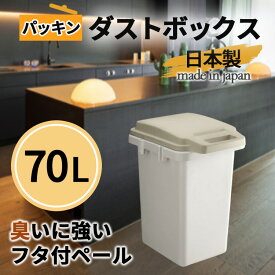 東谷 ゴミ箱 70L 日本製 トラッシュカン 長方形 フタ付き ロック機能付き ポリプロピレン スチール 丸洗い 屋外ゴミ箱 室内 ダストボックス ホワイト 蓋 アイボリー RSD-72 ペダル 生ごみ リビング 部屋用 中サイズ シンプル