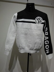 q|Cg10{ry2024NtāzfB[X _XEBYhS DANCE WITH DRAGON@Z[^[yE萔z JWA St Mtg v[gɂ