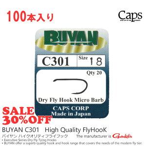 BUYAN / �o�C���� C301 �h���C�t���C�t�b�N