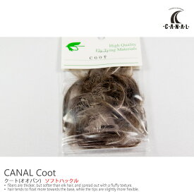 クート(オオバン) CANAL / キャナル