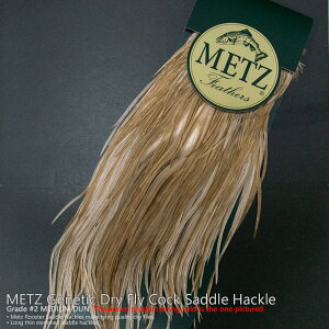 �R�b�N�T�h�� �n�b�N�� #2 �~�f�A���_��/MEDIUM DUN