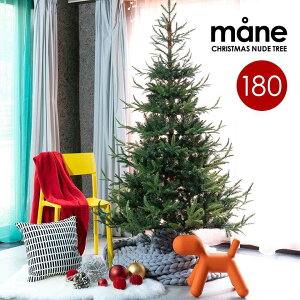 NX}Xc[ mane [l NX}Xc[ 180cm  tBh k[hc[ NX}X c[ mane [l I[igZbg Ȃ {̃~̖؂ɋ߂k[hc[ TObh