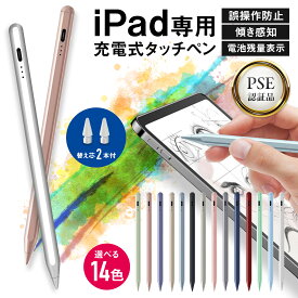 【替芯付き】 iPad専用 高感度タッチペン スタライスペン 傾き感知 極細 1.0mm 磁気吸着 Type-C急速充電 パームリジェクション 自動電源OFF ペン先交換可 iPad A16 第11 第10 第9 8 7 6世代 iPad Air5 4 mini A17 Pro mini6 iPad Pro 11 12.9 13 インチ PSE認証 誤操作防止