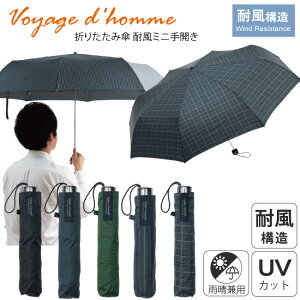 yjɂߐJpPz܂肽ݎP Voyage d'homme ϕJ~j Jp JP  Jp uvJbg 65cm jZbNX Y j rWlX ʋ ʊw  RpNg ܂