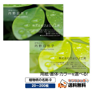 pȆIׂyh 쐬zA̖h-9@Iׂ閇 20E60E100E200yfUC zVbvJ[h  IV   O[ fUC rWlX |CgJ