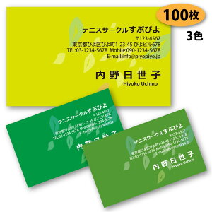 【名刺 作成 名刺 印刷】植物柄の名刺-1 100枚【デザイン 制作】【送料無料】 ショップカード ポイントカード スタンプカード