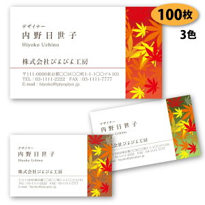 yh 쐬 h zA̖h-14@100yfUC zyz VbvJ[h |CgJ[h X^vJ[h