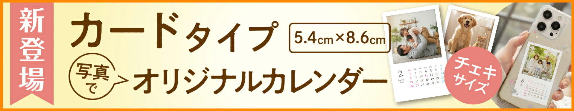 新登場カードサイズカレンダー