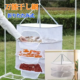 ＼ゾロ目の日限定 P5倍／折りたたみ式物干しネット 2段 干し網 物干しネット通気性が良い 360°回転するセルフロック式フック 通気性 防風 昆虫を防ぐ 折り畳み式 干物干しの神器 野菜干しネット 靴下 スカーフ 服