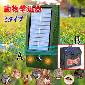 _P10{5̓Ԍ艿i^ފ g L悯 LED̓tbVCg 悯 悯 lY~ 쏜 x  USB \[[[d ԊOZT[ AEghA h ȒPݒu Qb