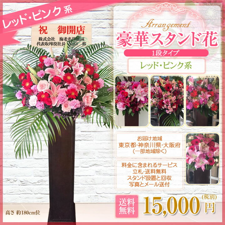 100 の保証 胡蝶蘭付きスタンド花 コーン 花色選べる5色 000円 税別 180cm位 設置 回収無料 東京都 神奈川県 大阪府 お祝い 開店 開業 開院 花 Stde