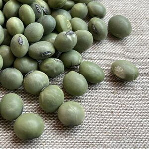 哤 Xp I 5kg 2025NY ߘa7NY R`Y ƖppbN