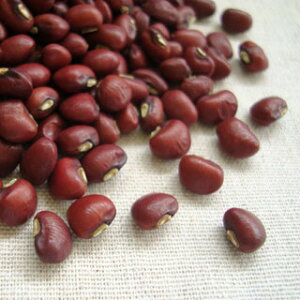 NAXZ[   200g 2024NY ߘa6NY RY  [ [M 1/2]