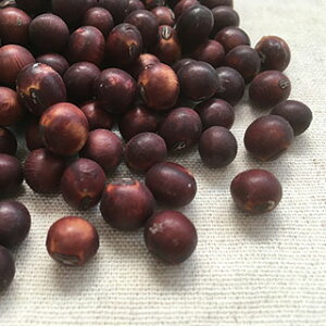 NAXZ[ g哤 1kg 2024NY ߘa6NY R`쐼Y