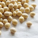 大豆 1等 大粒 30kg 2025年産 令和7年産 宮城県産 タチナガハ 送料無料 業務用紙袋 ※あす楽対応不可