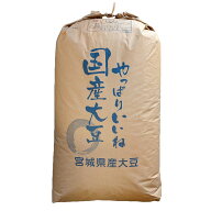 大豆 1等 大粒 30kg 2025年産 令和7年産 宮城県産 タチナガハ 送料無料 業務用紙袋 ※あす楽対応不可